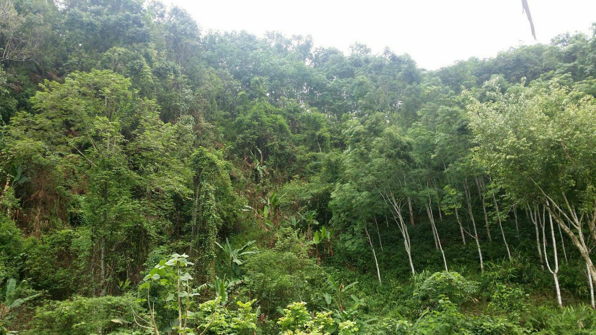 南京女大学生被男友杀害，父亲拒绝100万私了：杀人偿命只求严惩