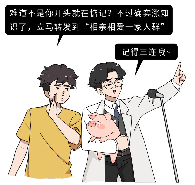 “猪奶”是什么味道？为什么没人喝？其实，它的营养比牛奶还要高