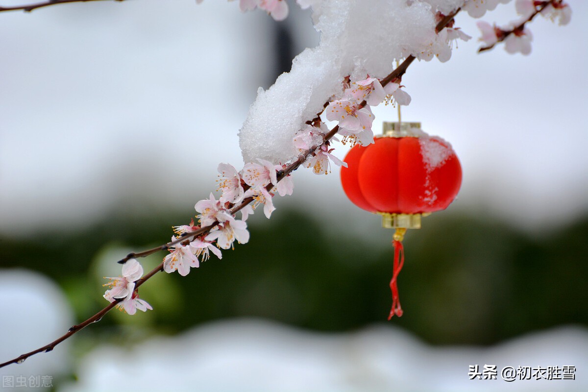 唯美春雪唐诗七首：春雪满空来，触处似花开