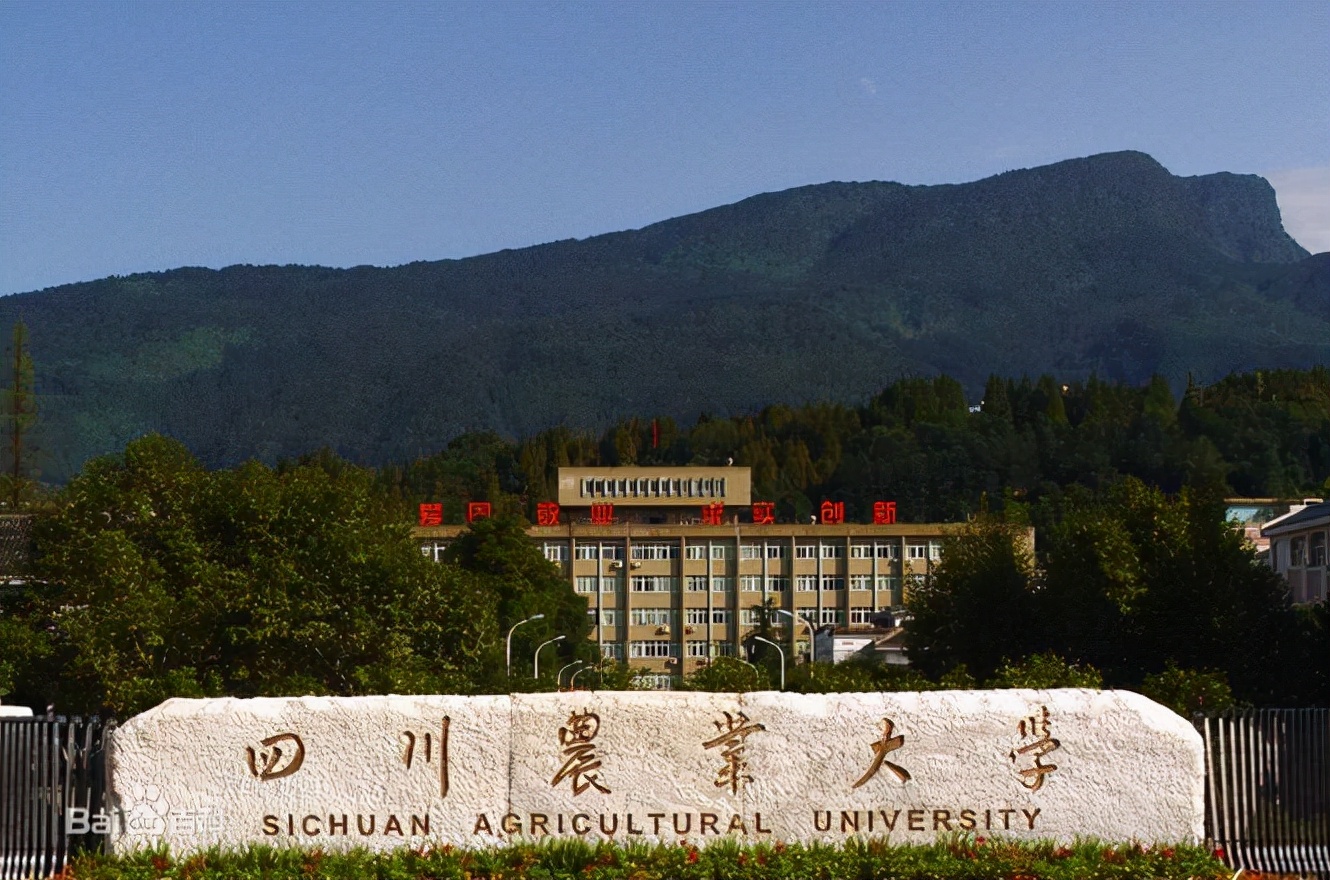 权威！教育部发布通知：四川农业大学新增3个本科专业，个个“热门”！
