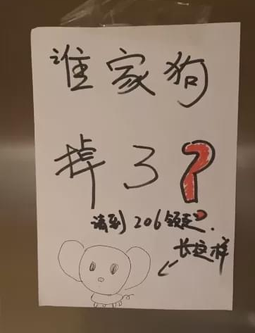 邻居画的"寻狗启示"火了,只有亲主人才敢认