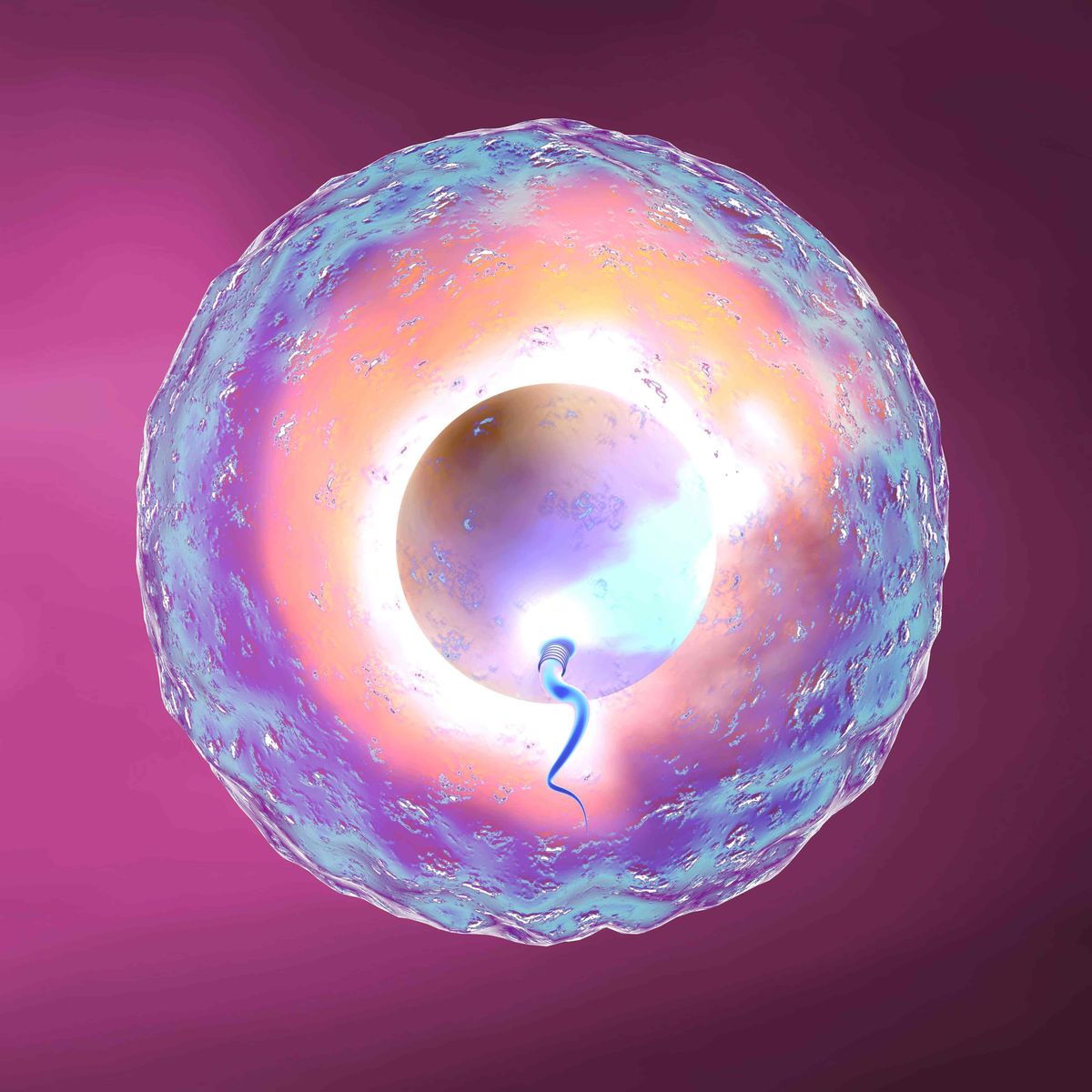 科学家拍到：精子和卵子结合的那一刻，真的会瞬间爆发出巨大闪光