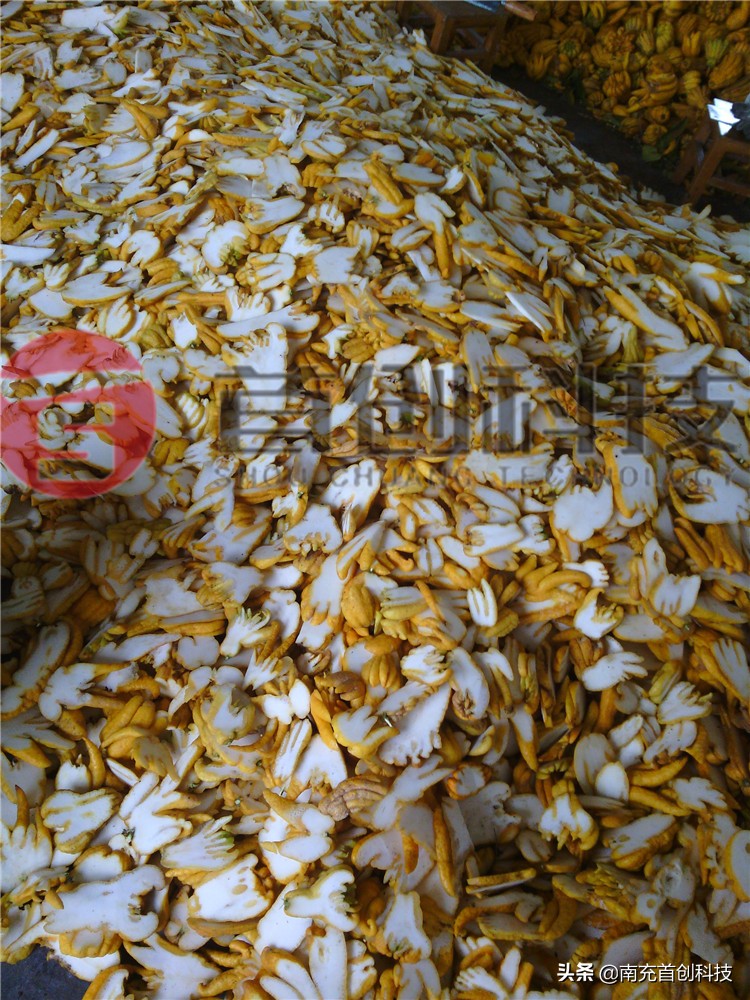 空气能热泵佛手烘干机，干燥效果好、节能环保、大规模生产