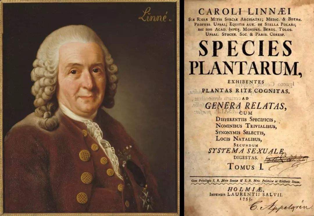 我们被欧美欺骗了