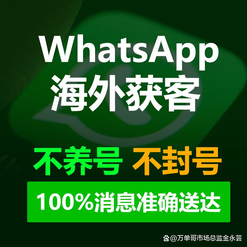 万单哥whatsapp官方通道群发的100种玩法