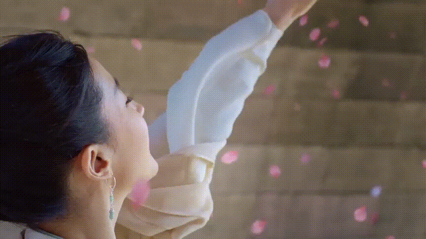 顾千帆赵盼儿桥头花瓣雨，真的太唯美浪漫啦