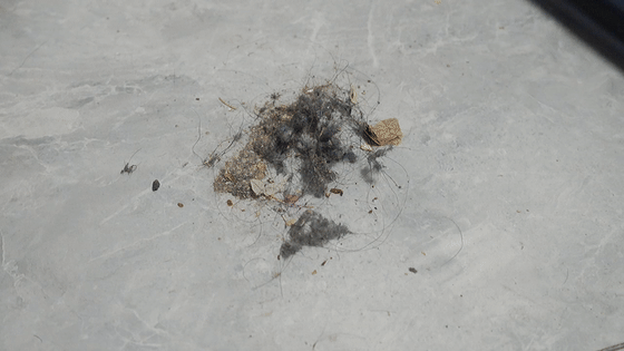 上了年纪，家里清洁用上这几种物品，老了不发愁！简单一擦就干净