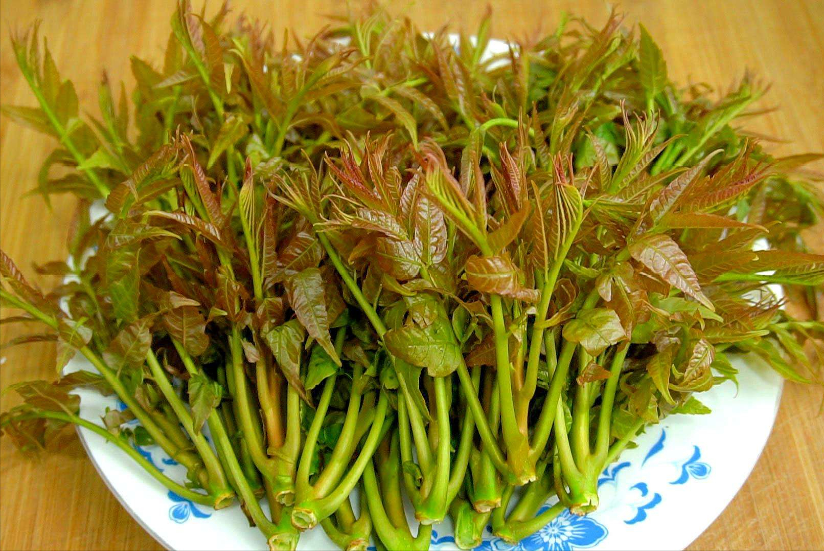 蔬菜保鲜：别直接放冰箱，分享4种蔬菜保鲜法，放一年都不会坏