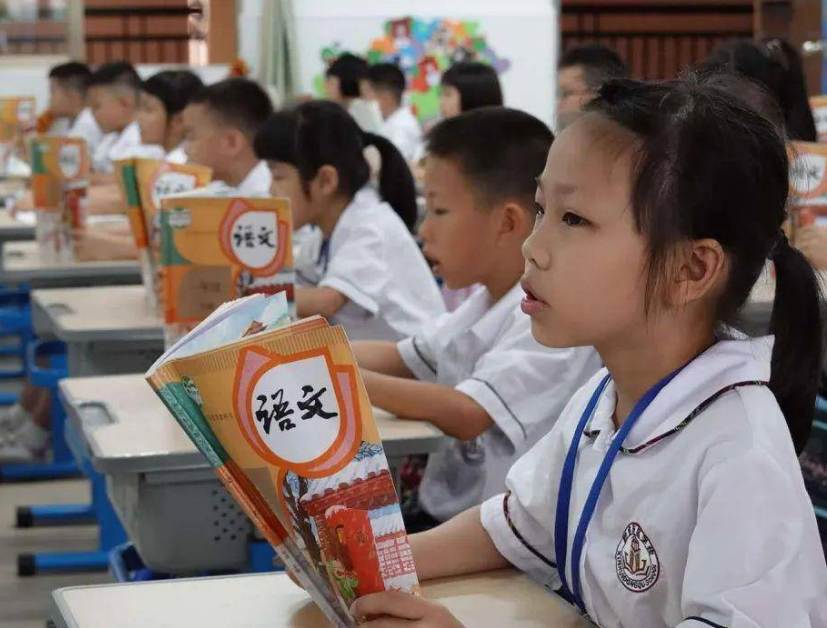 小学生“人生规划”火了，初中后的转折，网友：条条大路通地府