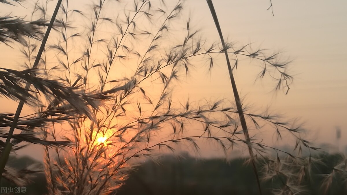 60张唯美惊艳夕阳图片。夕阳无限好，只为近黄昏