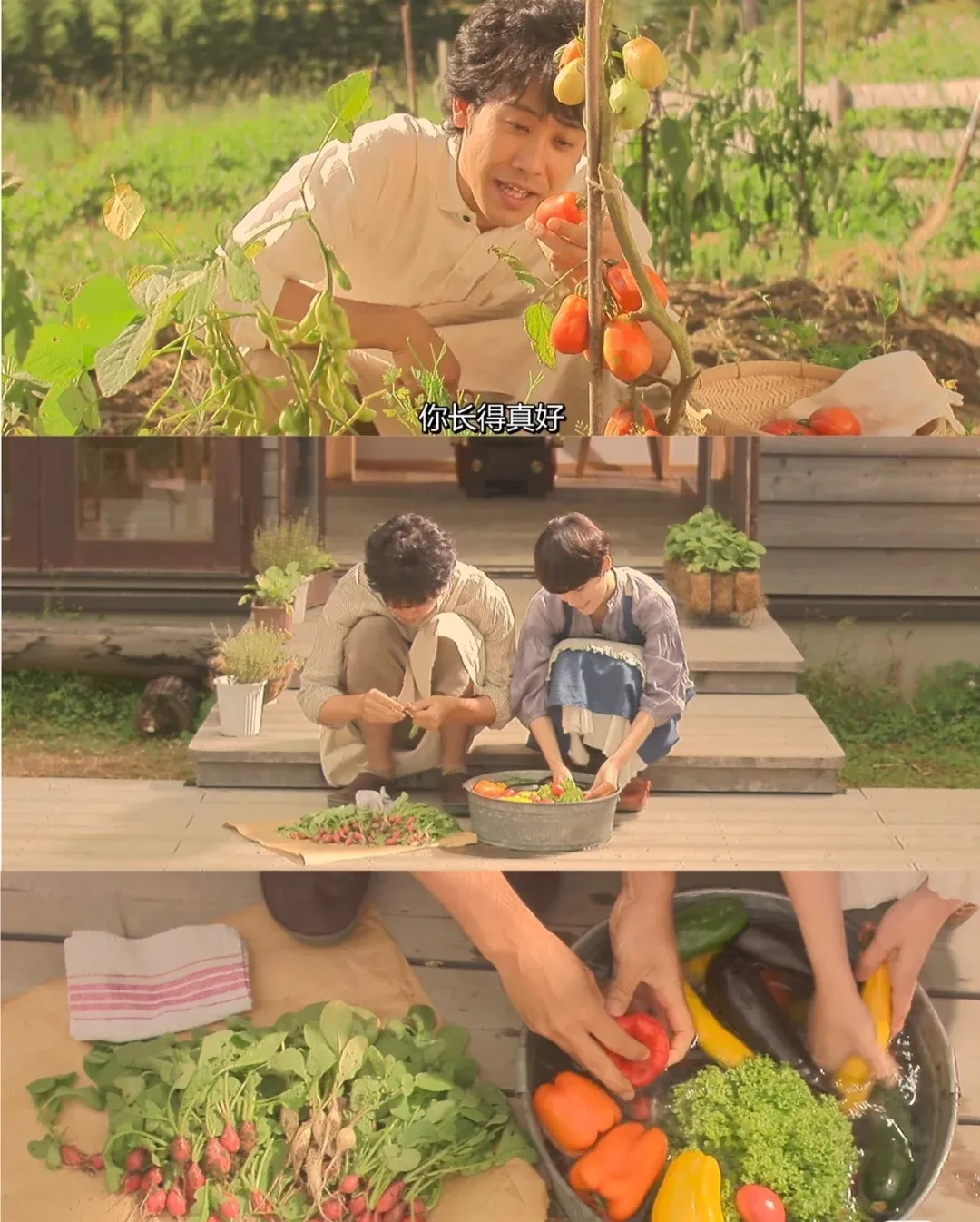 看完这5部电影，突然不浮躁了