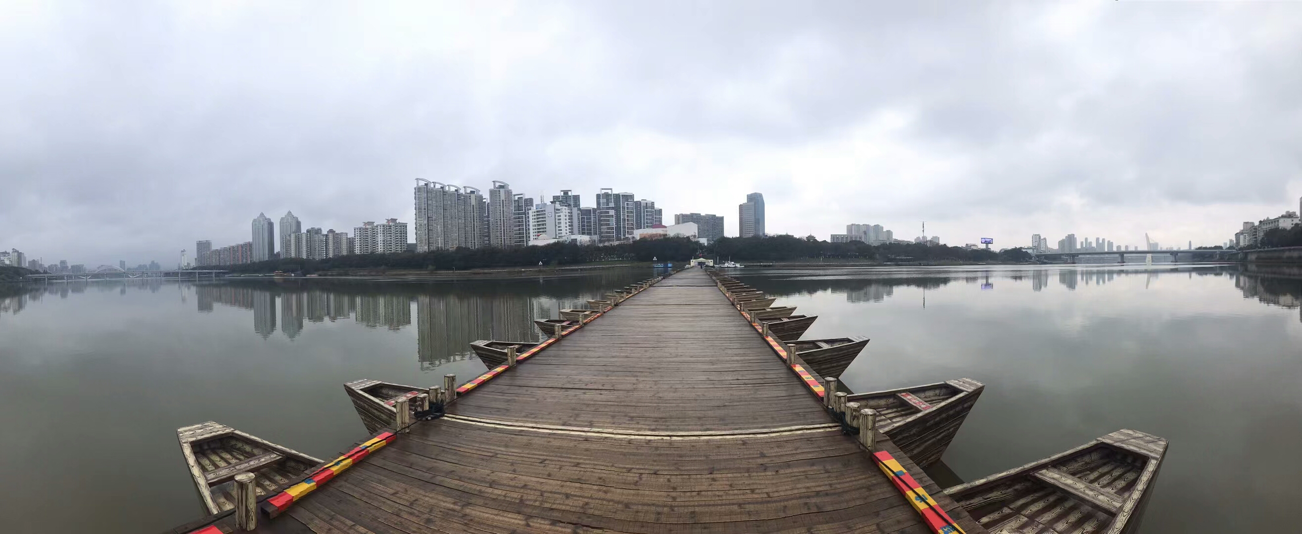 卜算子·离家