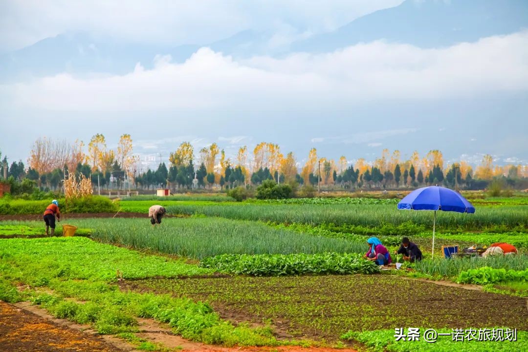 2022年29个乡村振兴补贴项目申报备忘录（收藏版）