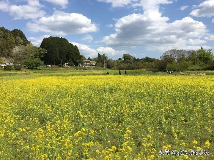 日本12处“零差评”宝藏旅行地，速度mark