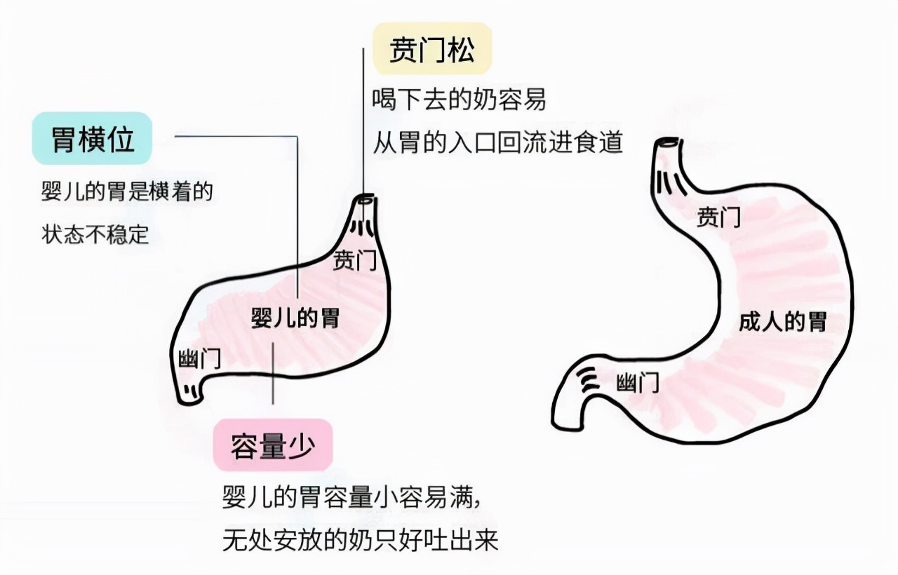 为什么小宝宝都爱吐奶？提醒：有效预防更重要，附具体方法