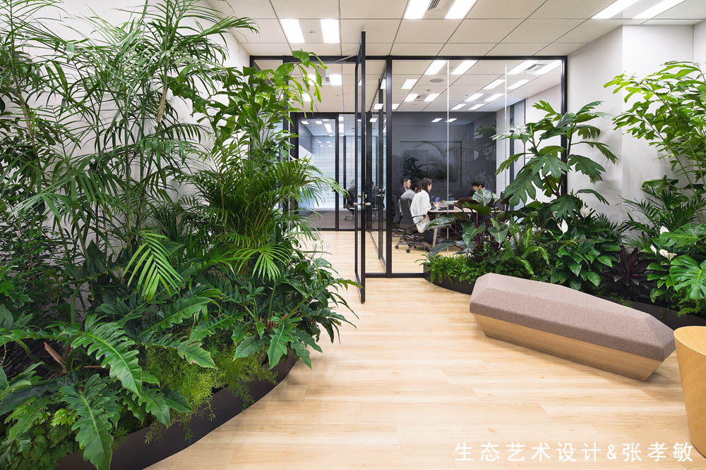 300平办公室室内绿化(300平办公室平面布置图) | 布达拉宫-星座风水