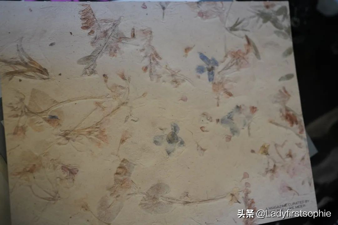 艺术书店老板的他如何利用 9 样好物，把家打造成极致舒适时髦的？