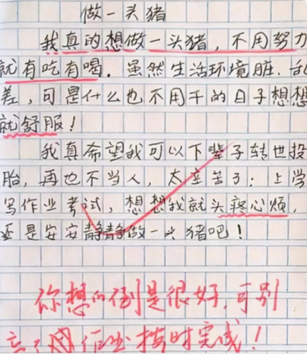 小學生自制“人生规划”，预计32岁获奖，连结局都想得明明白白