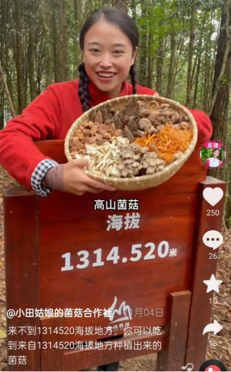 女大学生不顾父母反对，远嫁福建深山，两年后实现完美逆袭