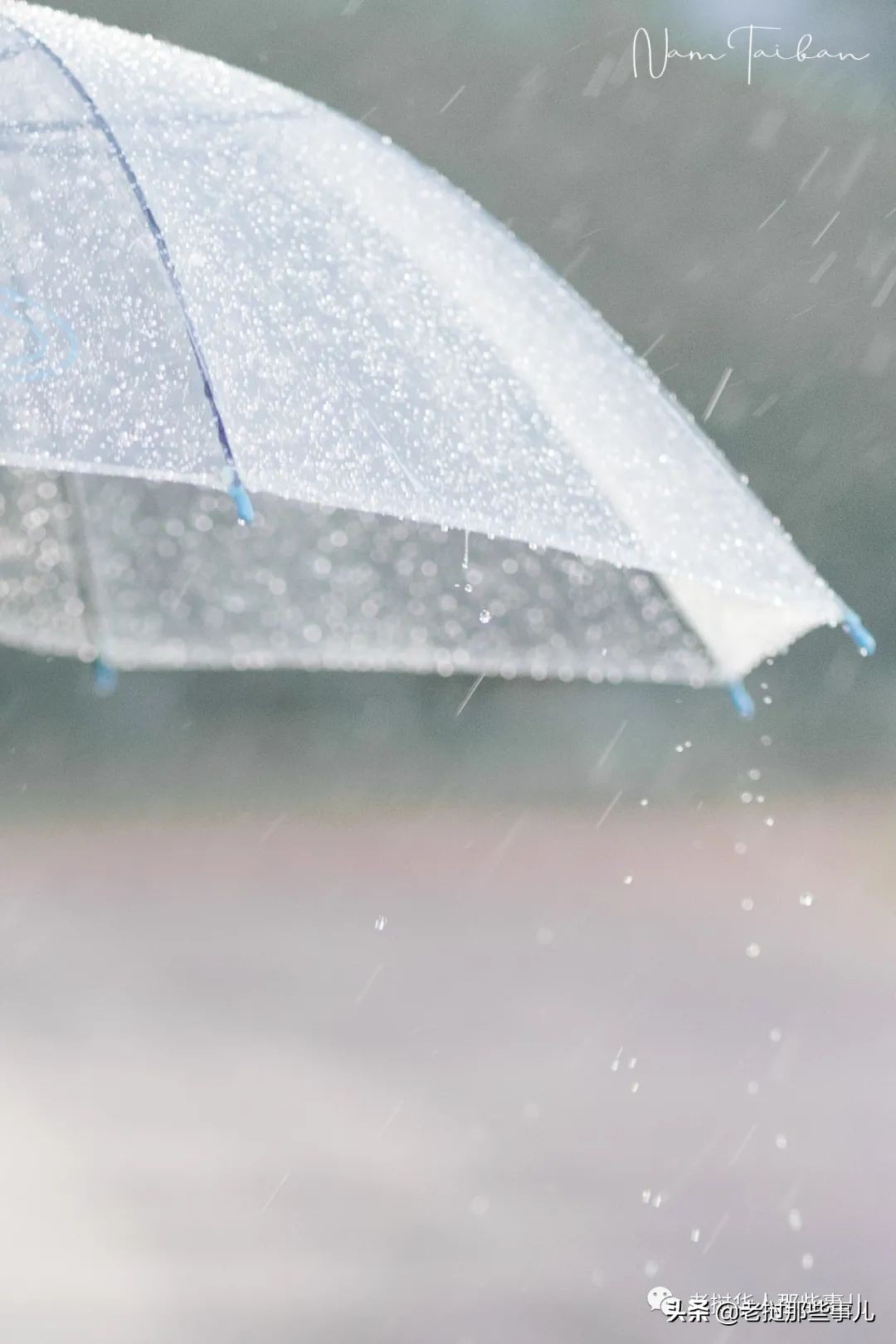 老挝水音小姐姐，三年前旧照翻出，超可爱