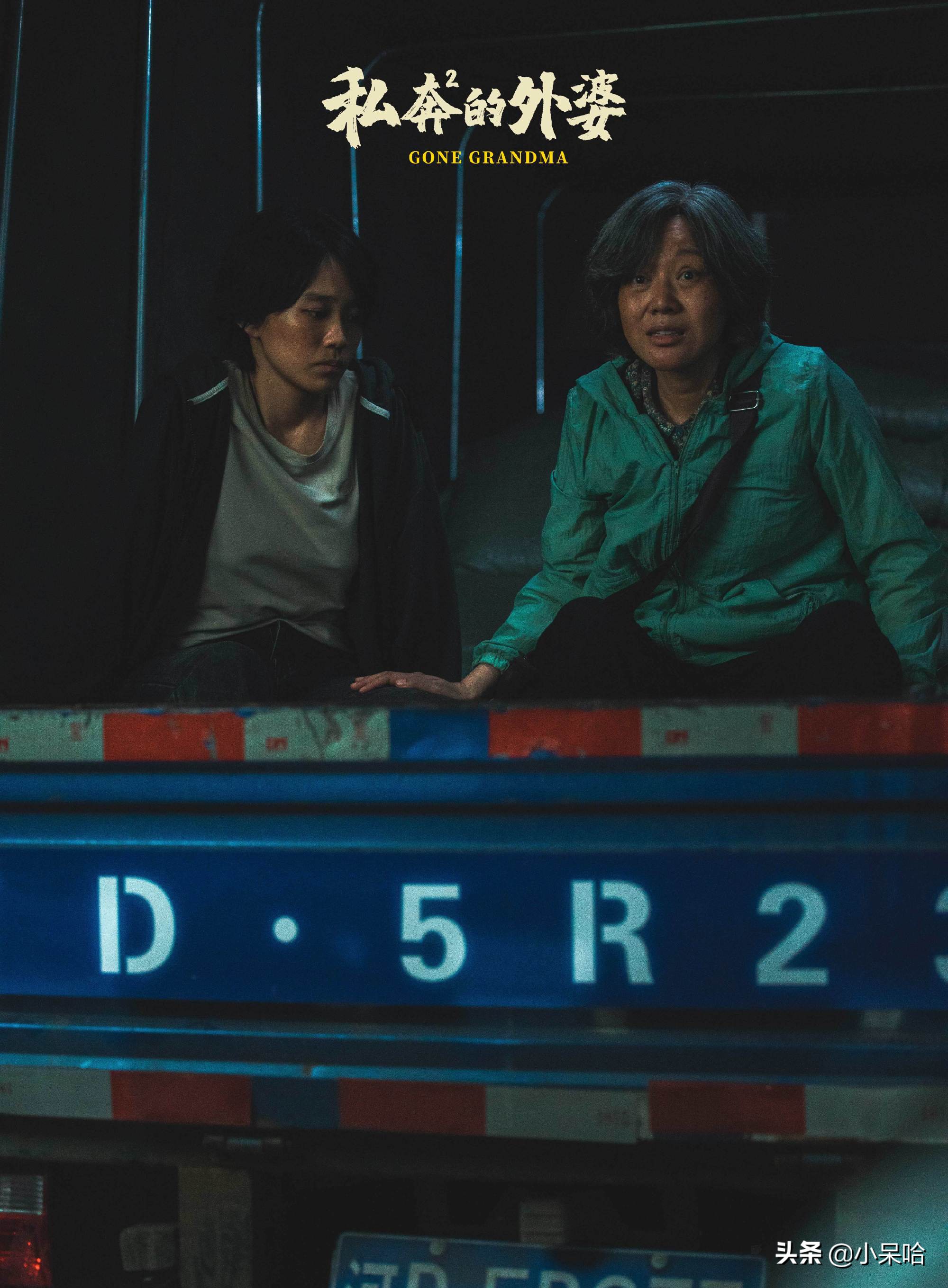 公路剧王炸，闫妮一人分饰两角，姚晨、梅婷作配，戏骨云集