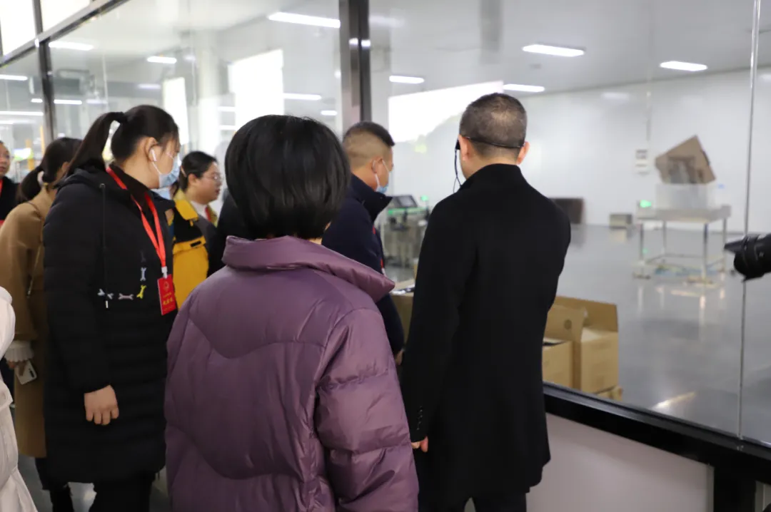 福鼎市人大代表团视察品品香茶产业综合体项目建设