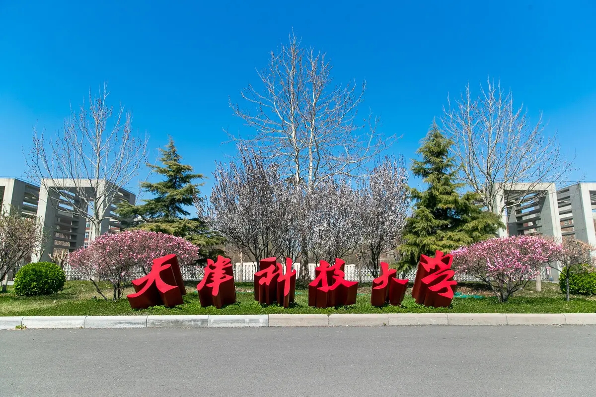 天津科技大学在职研究生（天津科技大学2022第一批公开招聘132人方案）