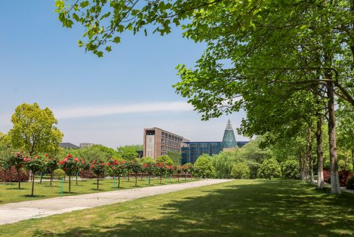 浙江高校金字塔排名出炉，浙江大学高居榜首，温州大学有进步