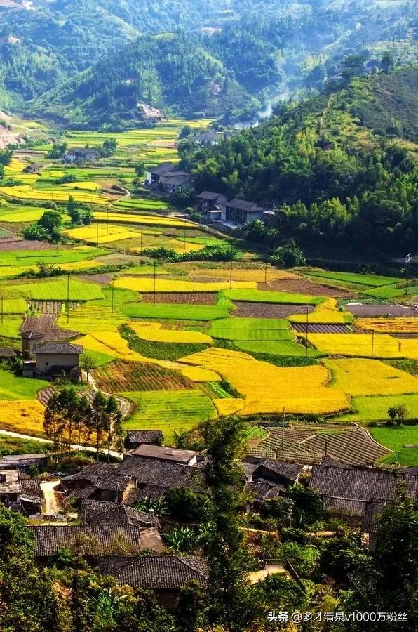 河南赢了山东赌注