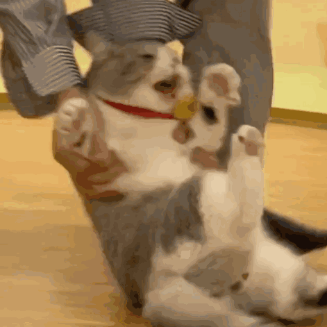 这个每天都做的姿势，竟能让脊柱变形？吓得我赶紧坐直了