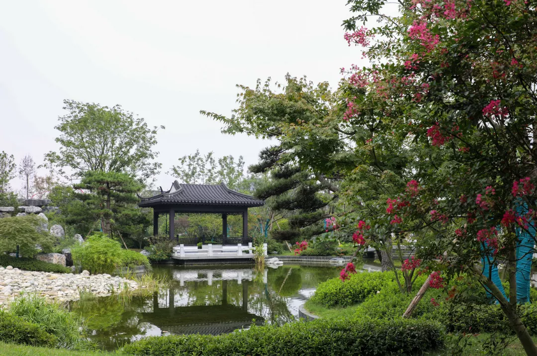 點(diǎn)贊！中國(guó)川菜產(chǎn)業(yè)城成功獲批2021年度四川省外貿(mào)轉(zhuǎn)型升級(jí)基地