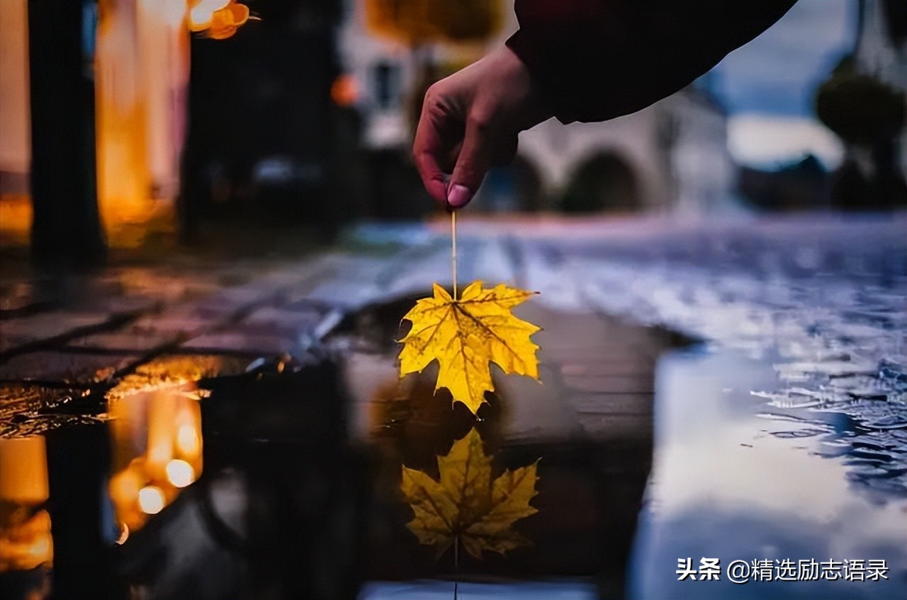 人这一生,家最温暖
