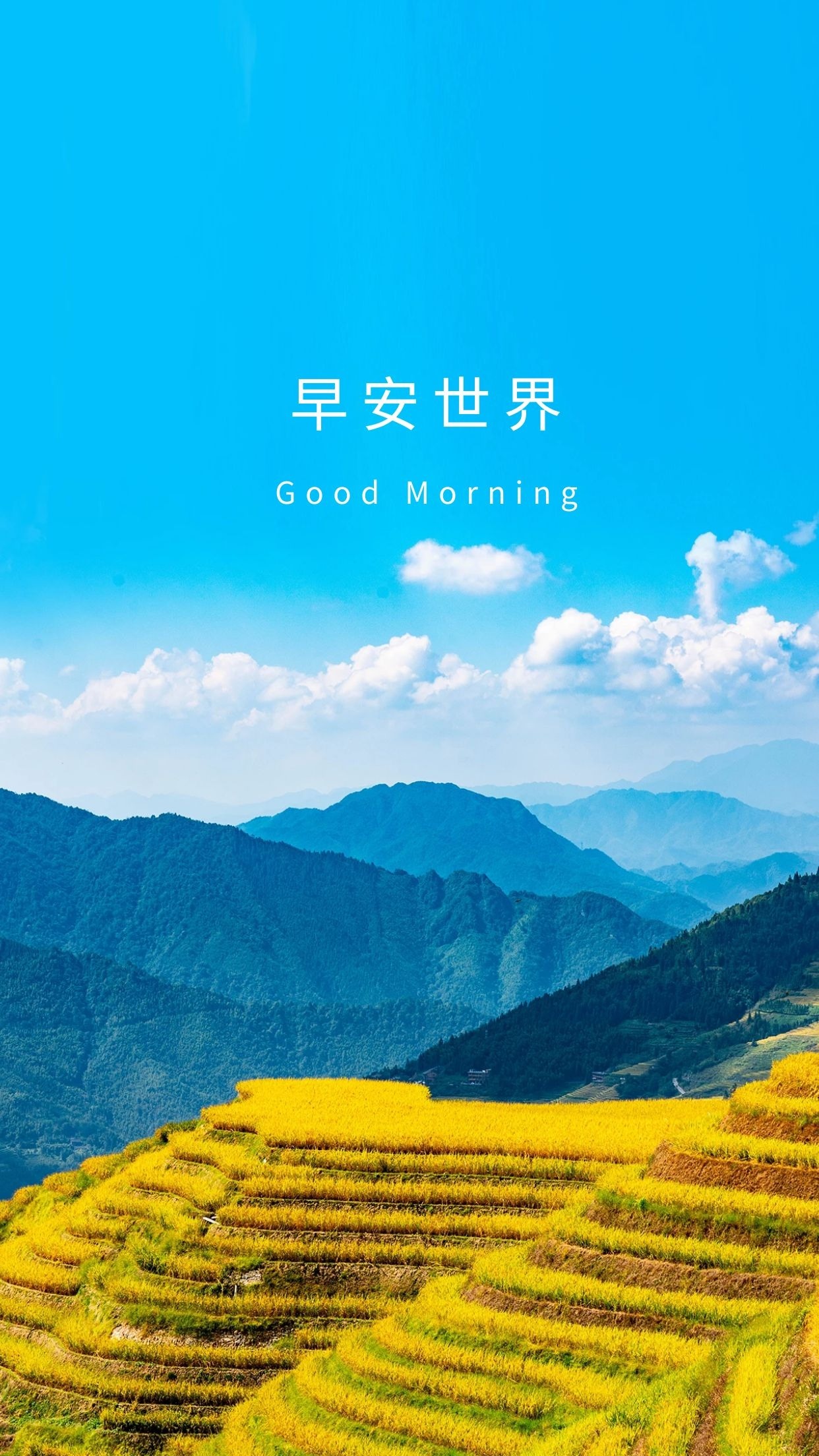 关于表示忠诚的说说 _晶羽文学网