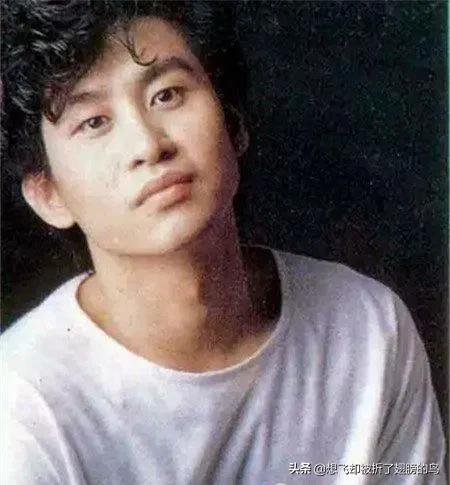歌坛的伤心王子郑智化