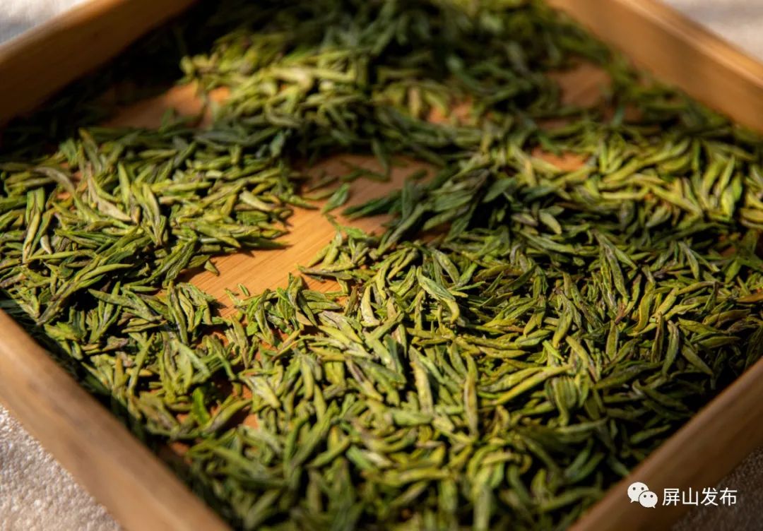 人物许显钢东风吹来的制茶人