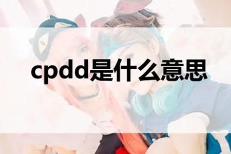 女生说CPDD是什么意思（是找伴侣的意思吗?）-第1张图片