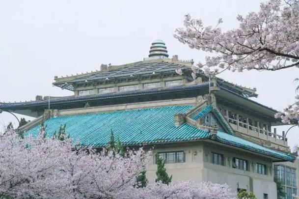 武大校草现身华科大招生视频，评论区笑不活了，高校CP已锁死