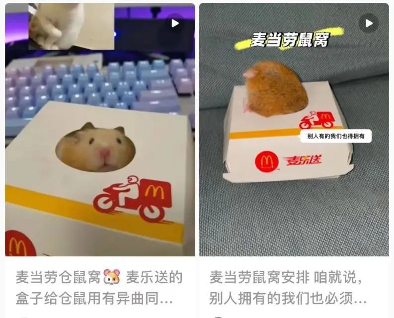 揭秘麦当劳“玩具学”：为何“猫窝”刷爆抖音、小红书？