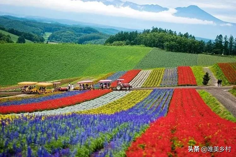 2022年，要提高粮食收储价格？八年之痒，发改委走出关键一步