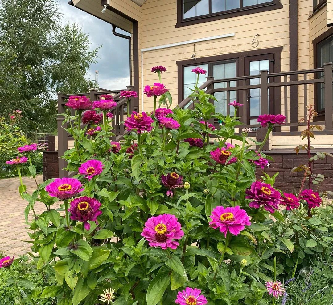 25种花境设计，让生活更美好，你最喜欢哪种？