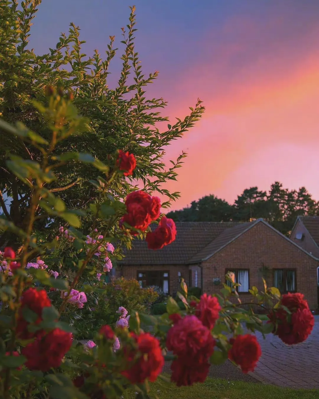 关于控制不住自己嘴的说说配图「文案」 _qq说说网