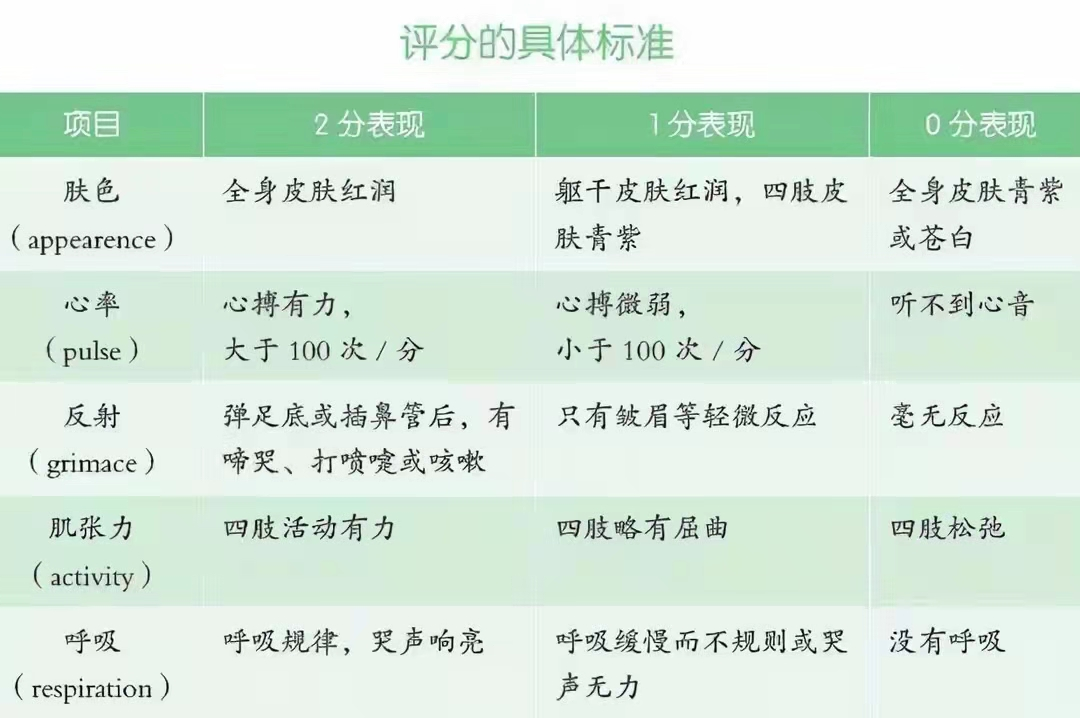 宝宝出生后的黄金24小时，经历的这些事很重要，这3件事很有意义