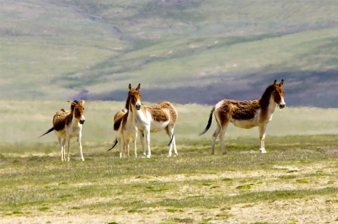 56范文（高中） | 正确的三观才是写作的方向