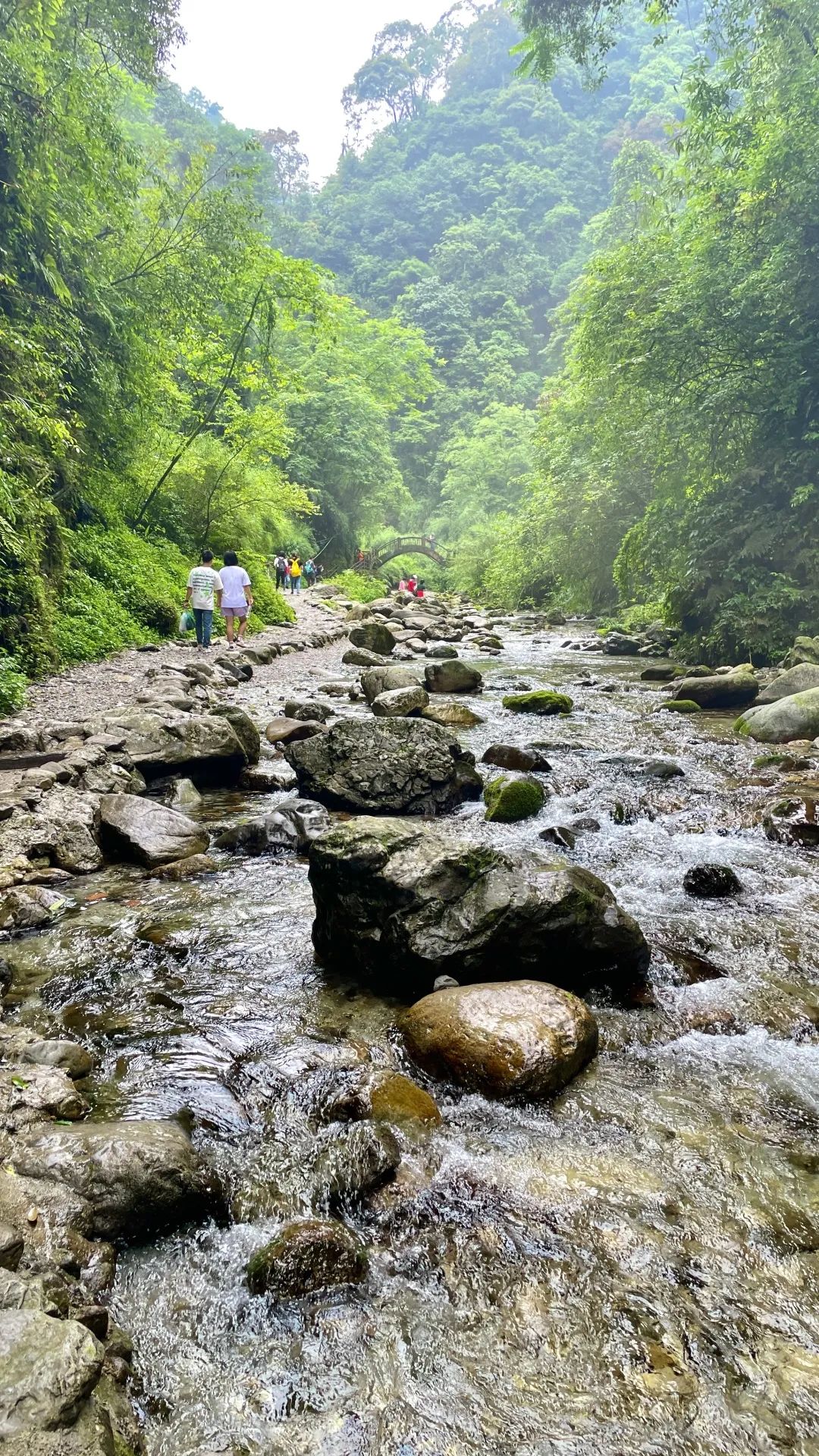 超详细超实用！峨眉山2天1晚徒步攻略收藏起来慢慢看