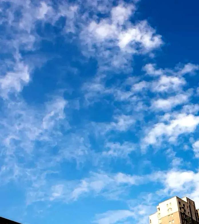 起诉状等法律文书小大全