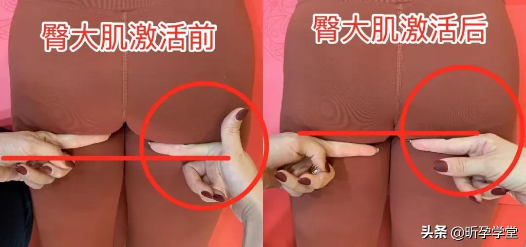 仅此一期,你来吗?| PPYT全阶段培训-E学班开启 | 9+20+365模式