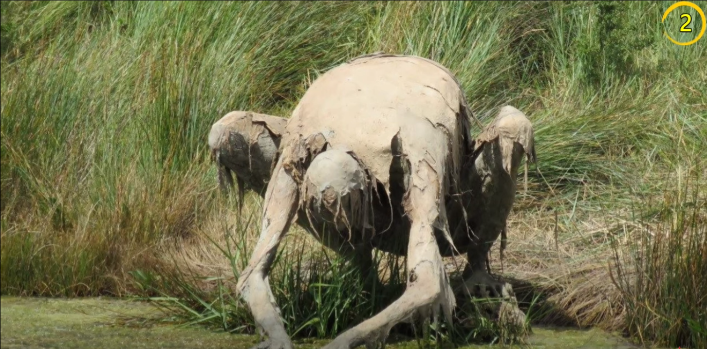 阴森森的故事有哪些 _飞翔号