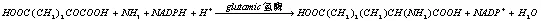 「环保小知识」BBR、A2O、MBR工艺比选