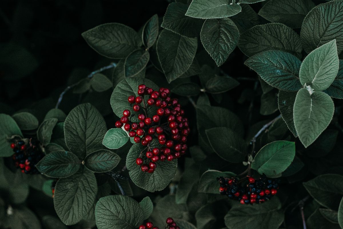 夜半独醒，心绪如灰烬飘散，世界沉默无言。