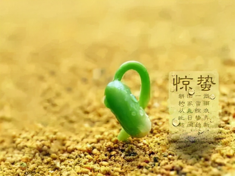 惊蛰节气古诗词十首，唤醒您春日里的诗心！